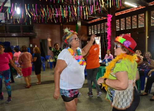 Encontro de Carnaval grupo Alegria de Viver