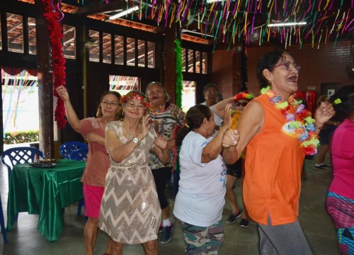 Encontro de Carnaval grupo Alegria de Viver