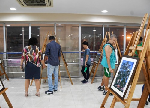 Vernissage exposição "Minha Aldeia" 