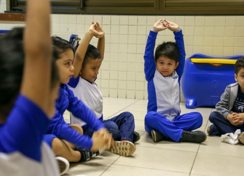 Volta às aulas 2019