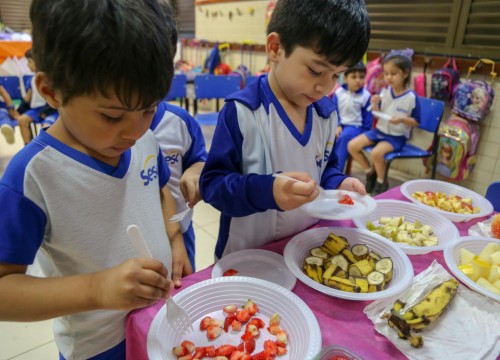 Projeto Horta - Alimentação Saudável