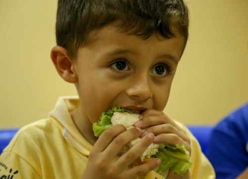 Projeto Horta - Alimentação Saudável