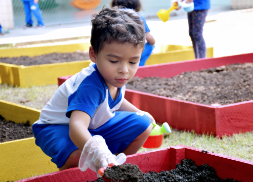 Projeto Horta - Alimentação Saudável