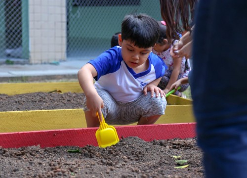 Projeto Horta - Alimentação Saudável