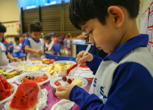 Projeto Horta - Alimentação Saudável