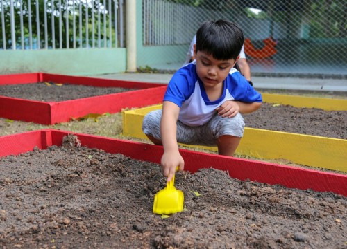 Projeto Horta - Alimentação Saudável