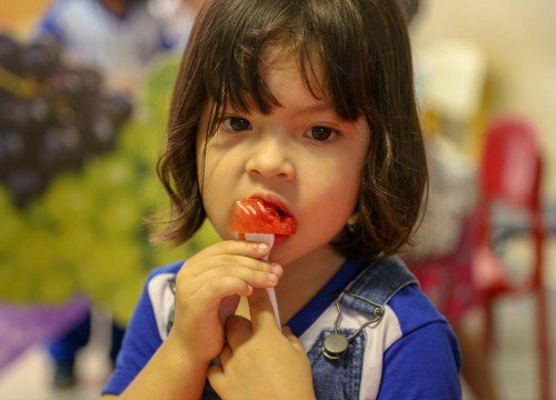 Projeto Horta - Alimentação Saudável