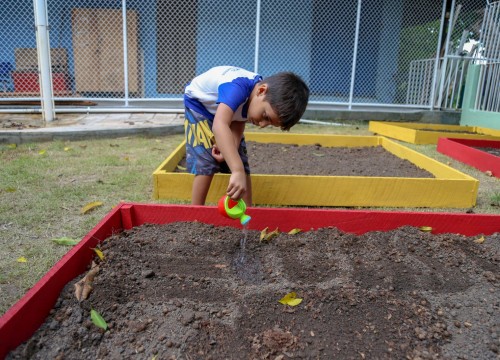 Projeto Horta - Alimentação Saudável