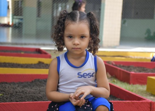 Projeto Horta - Alimentação Saudável