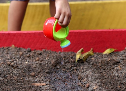 Projeto Horta - Alimentação Saudável