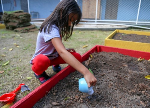 Projeto Horta - Alimentação Saudável