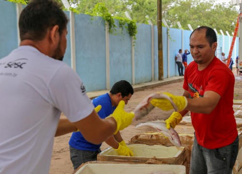 Mesa Brasil - IBAMA e PRF Destinam Apreensão De Peixe ao Programa