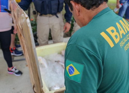 Mesa Brasil - IBAMA e PRF Destinam Apreensão De Peixe ao Programa