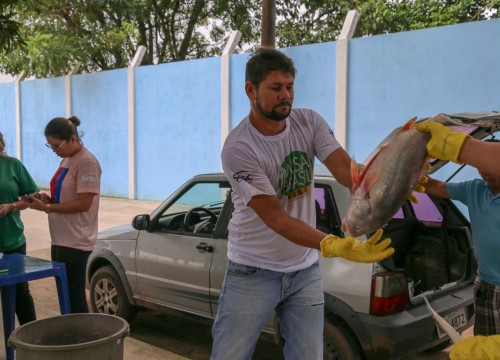 Mesa Brasil - IBAMA e PRF Destinam Apreensão De Peixe ao Programa