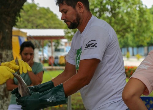 Mesa Brasil - IBAMA e PRF Destinam Apreensão De Peixe ao Programa