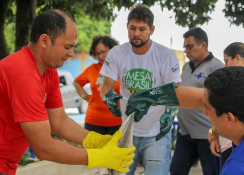 Mesa Brasil - IBAMA e PRF Destinam Apreensão De Peixe ao Programa