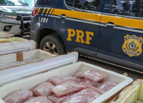 Mesa Brasil - IBAMA e PRF Destinam Apreensão De Peixe ao Programa