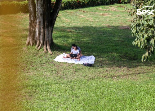 Domingueira - Suellem Braga