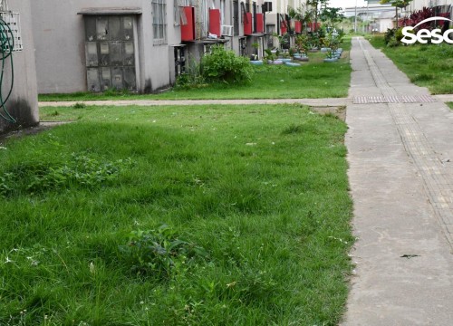 Odonto Ação Macapaba 