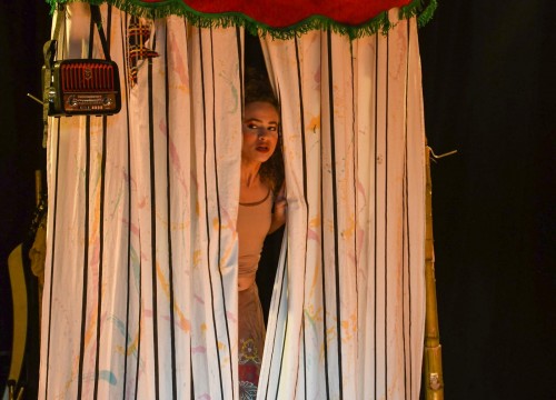 Amazônia das Artes 2019