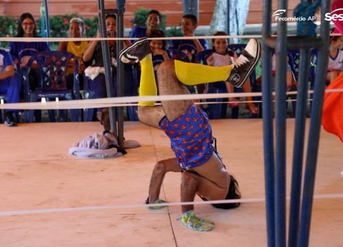 Amazônia das Artes 2019