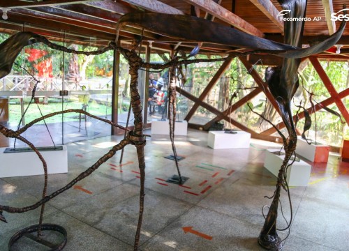 Exposição DNA - do Artista Josaphat