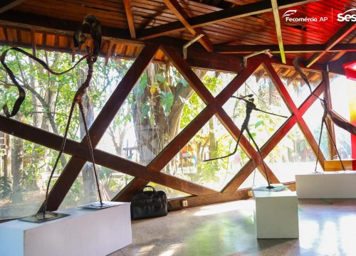 Exposição DNA - do Artista Josaphat