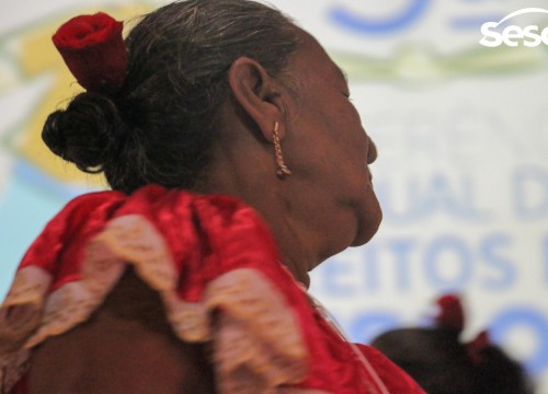 V Conferência Estadual dos Direitos da Pessoa Idosa