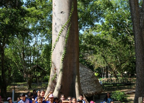 Passeio Escola Sesc no Museu Sacaca