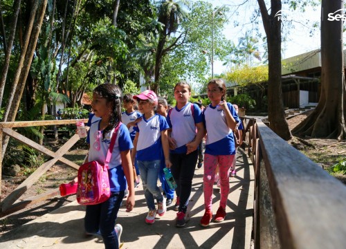 Passeio Escola Sesc no Museu Sacaca