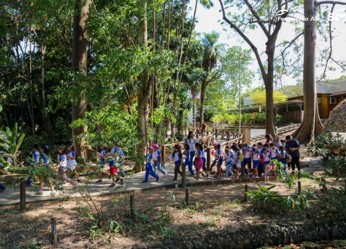 Passeio Escola Sesc no Museu Sacaca