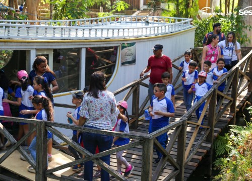 Passeio Escola Sesc no Museu Sacaca