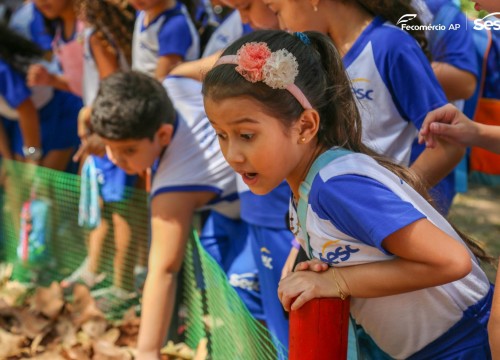 Passeio Escola Sesc no Museu Sacaca