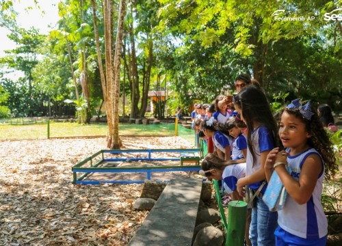 Passeio Escola Sesc no Museu Sacaca