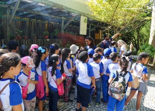 Passeio Escola Sesc no Museu Sacaca