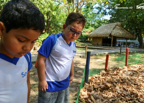Passeio Escola Sesc no Museu Sacaca