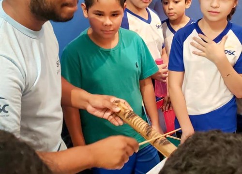 Mostra Sesc - Prismas do Som