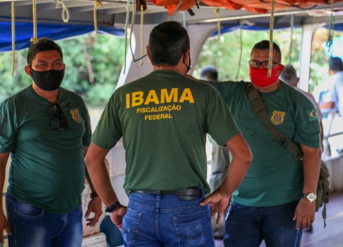 Ibama - Apreensão de peixes e doação ao Mesa Brasil