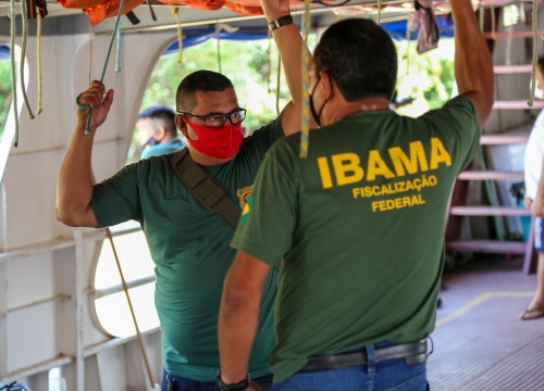 Ibama - Apreensão de peixes e doação ao Mesa Brasil