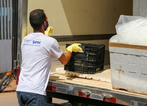 Ibama - Apreensão de peixes e doação ao Mesa Brasil