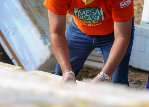 Ibama - Apreensão de peixes e doação ao Mesa Brasil