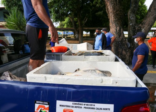 Ibama - Apreensão de peixes e doação ao Mesa Brasil