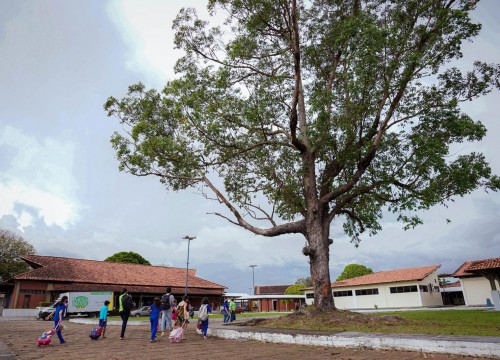 Atividades Escola Sesc - Dia do Estudante