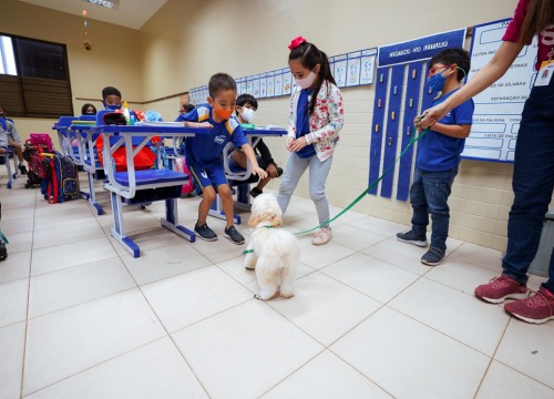 Projeto Cuidar e Adotar em um ato de Amor