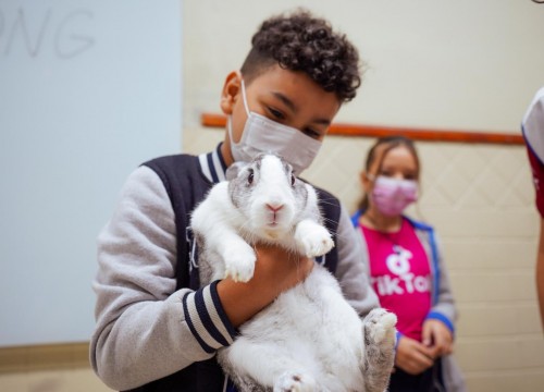 Projeto Cuidar e Adotar em um ato de Amor