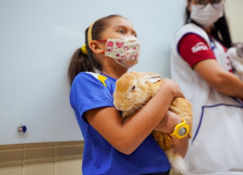 Projeto Cuidar e Adotar em um ato de Amor
