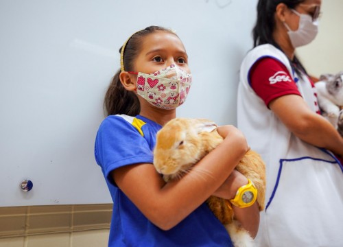 Projeto Cuidar e Adotar em um ato de Amor