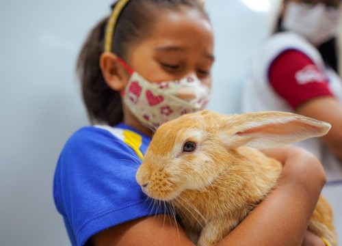 Projeto Cuidar e Adotar em um ato de Amor