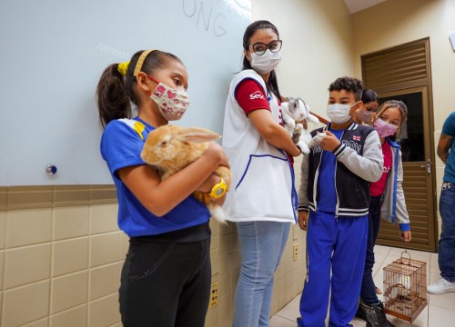 Projeto Cuidar e Adotar em um ato de Amor