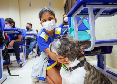 Projeto Cuidar e Adotar em um ato de Amor